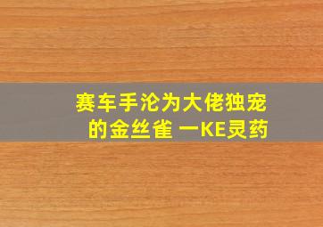 赛车手沦为大佬独宠的金丝雀 一KE灵药